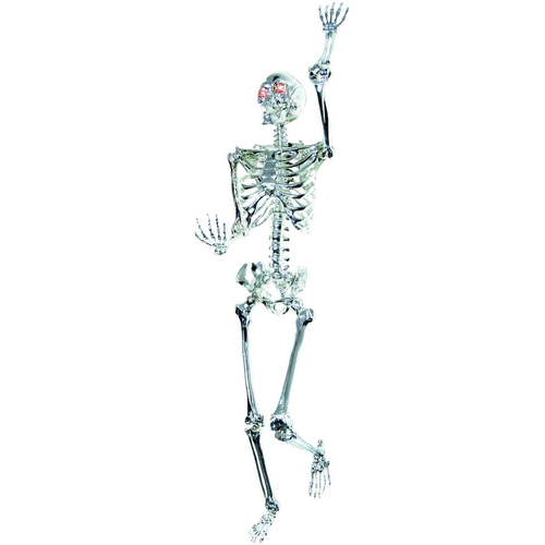 Skeleton Light Up Prop