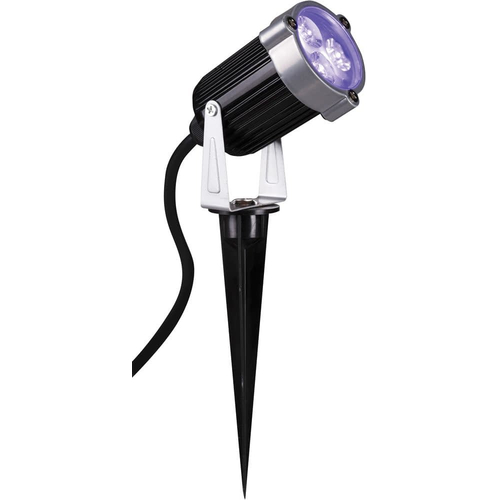 Spot Light Black Light