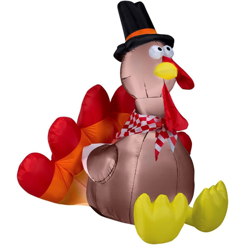 Turkey Airblown