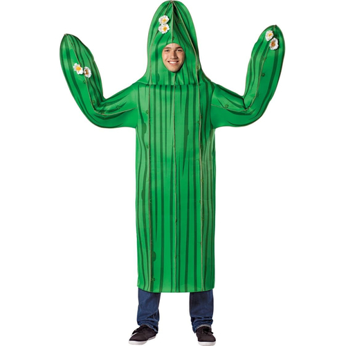 Cactus Adult Costume