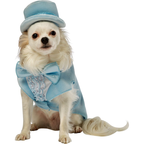 Dumb Dumber Harry Dog Costume