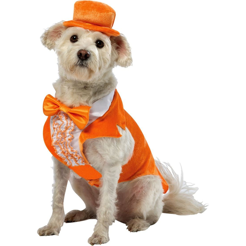 Dumb Dumber Lloyd Dog Costume