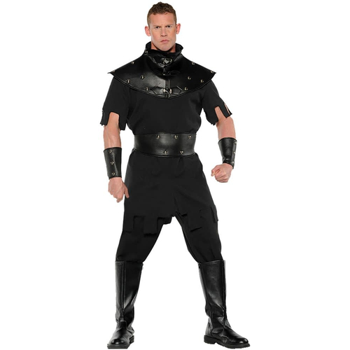 Medieval Warrior Adult Costume