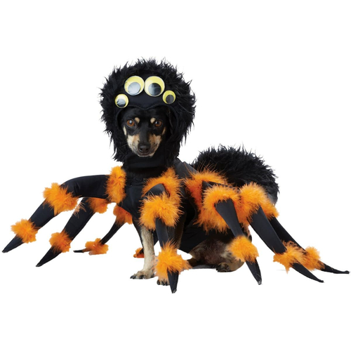 Pet Spider Costume