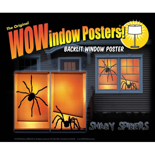 Shady Spiders Wow Windows