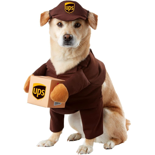 Ups Pet Costume