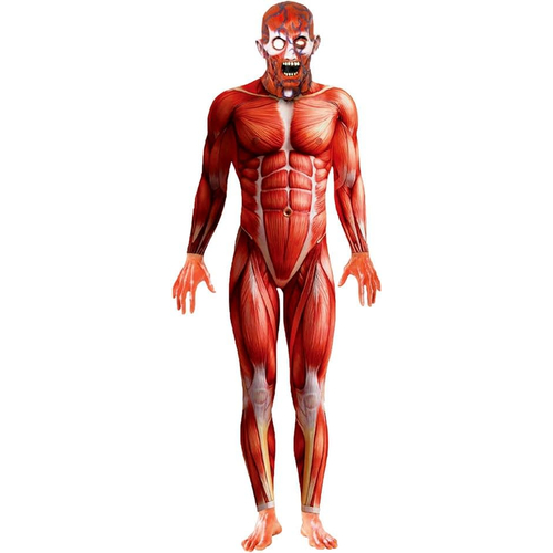 Anatomy Man Adult Costume