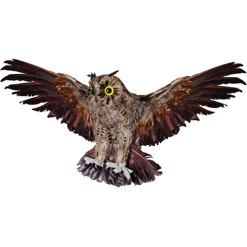 Owl Brown 19 Inches