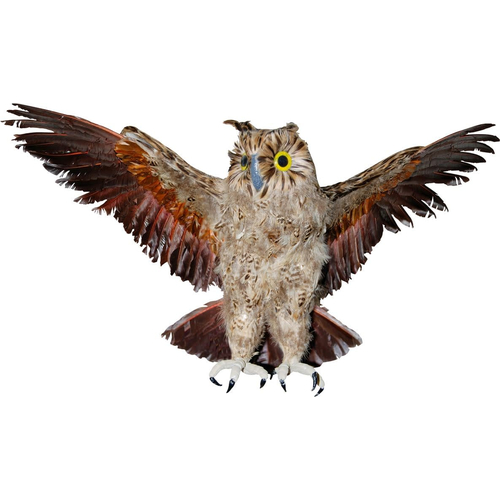 Owl Brown 28 Inches