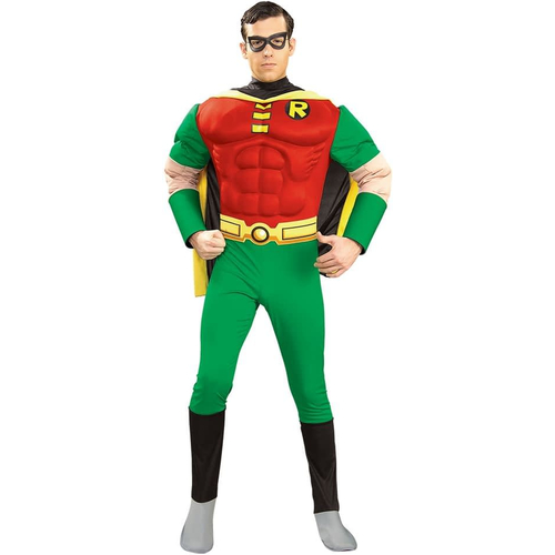 Robin Adult Costume