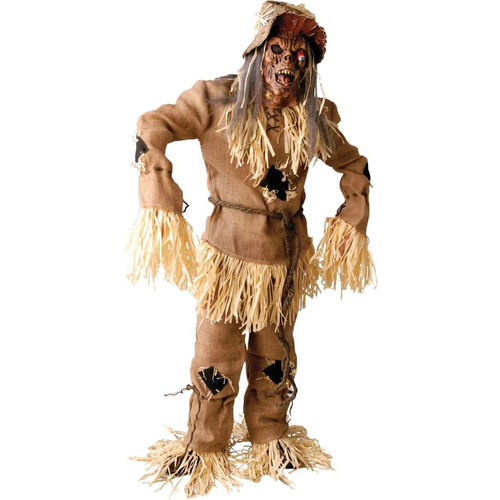 Scarecrow Halloween Adult Costume