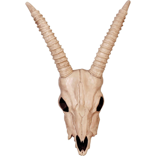Skeleton Gazelle Head