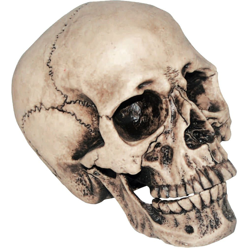 Vinyl Skull 7 inches