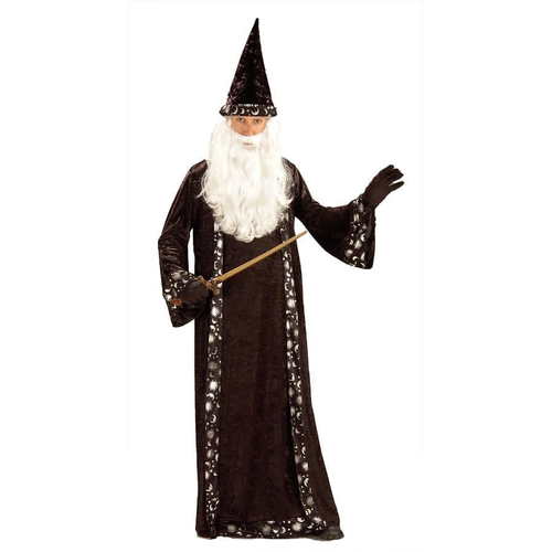 Wizard Adult Costume