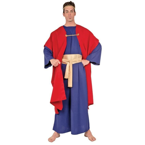 Wiseman I Adult Costume