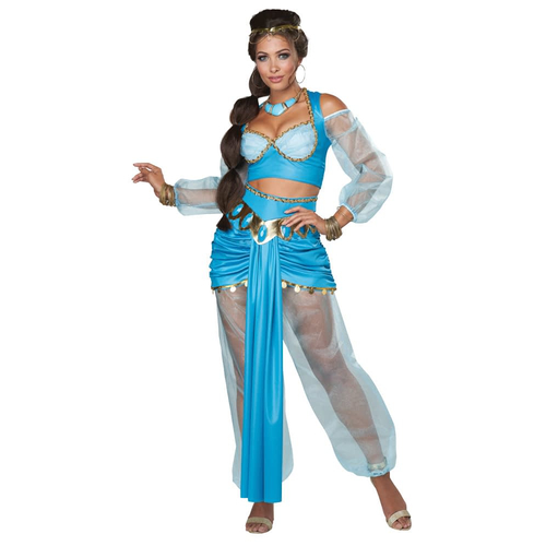 Arabian Princess Adult Costume