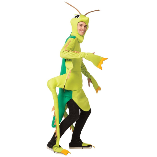 Grasshopper Adult Costume