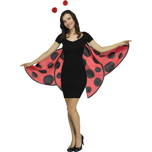 Lady Bug Kids Kit
