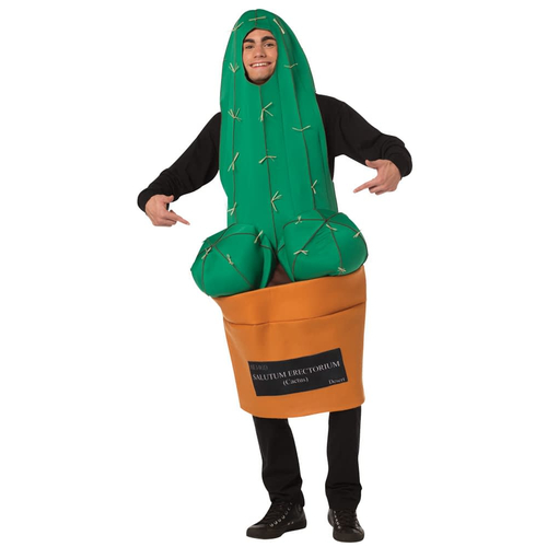Men Happy Cactus Costume