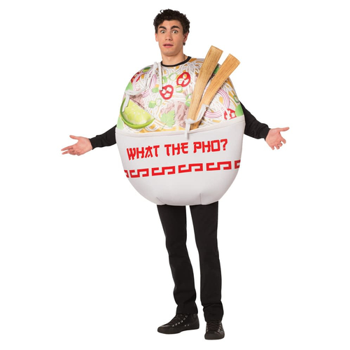 Pho Noodle Adult Costume