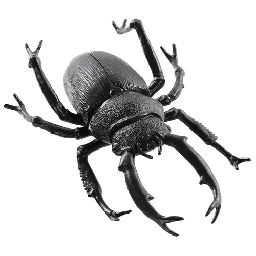 Black Beetle 8 inches