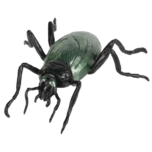 Cockroach 7 inches