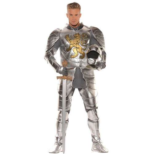 Metallic Knight Adult Costume