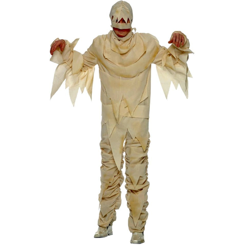 Mummy Halloween Adult Costume