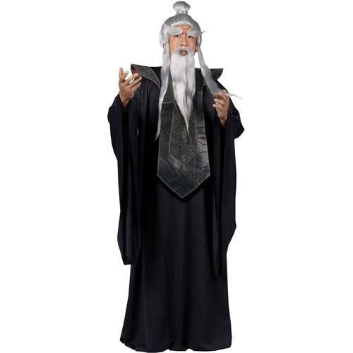 Sensei Master Adult Costume