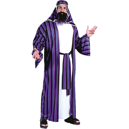 Sheik Adult Plus Size Costume
