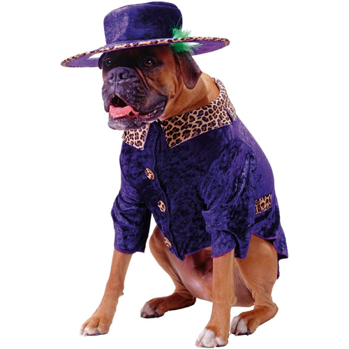 Big Daddy Pet Costume