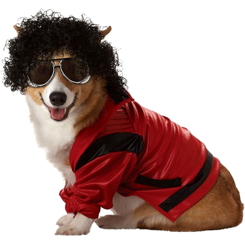 Pop King Pet Costume