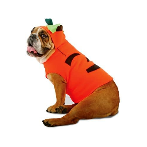 Pumpkin Pet Costume