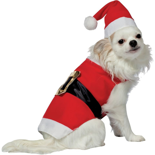 Santa Pet Costume