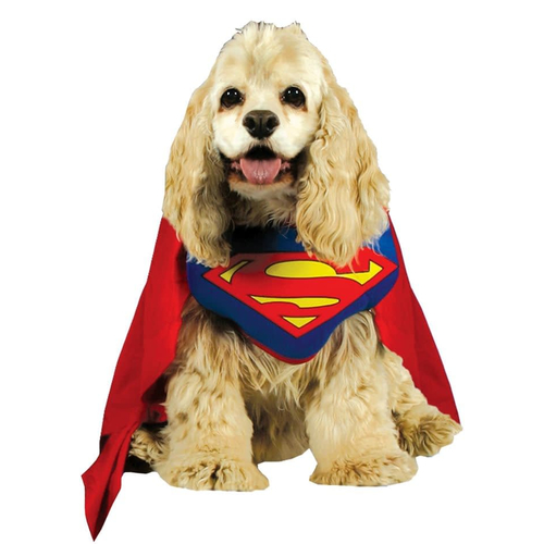 Superman Dog Costume