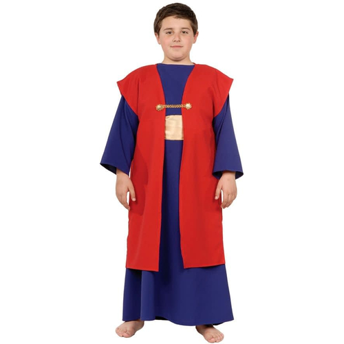 Wiseman I Child Costume