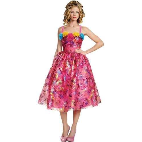 Disney Anastasia Costume Cinderella