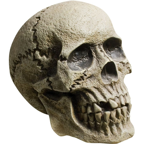 Broken Skull