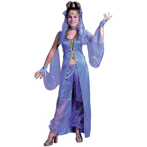 Cute Genie Women Costume