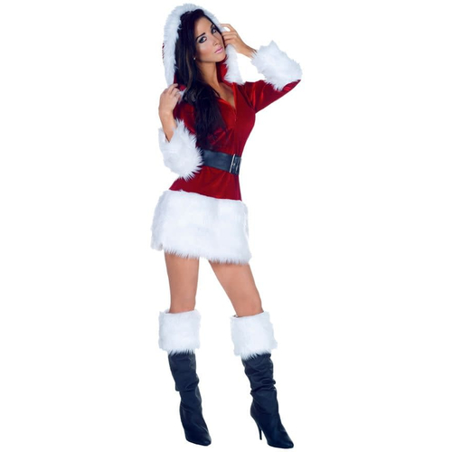 Cute Santa Adult Costume