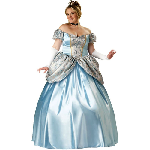 Enchanting Princess Costume