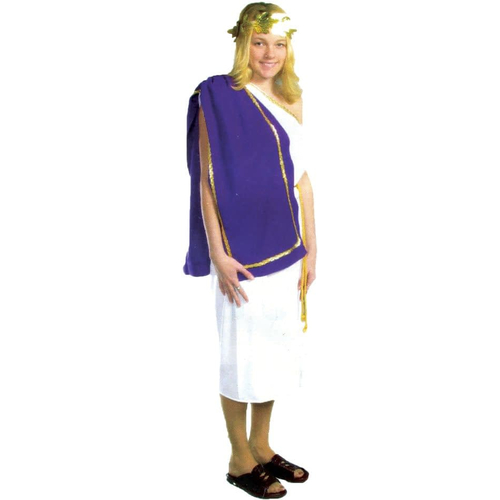 Grecian Toga Adult