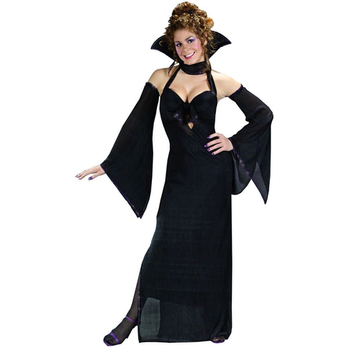 Night Queen Adult Costume