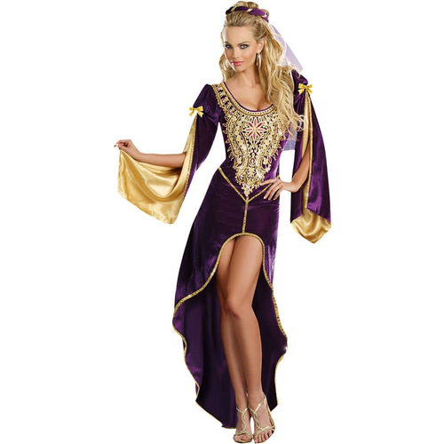 Renaissance Princess Adult Costume