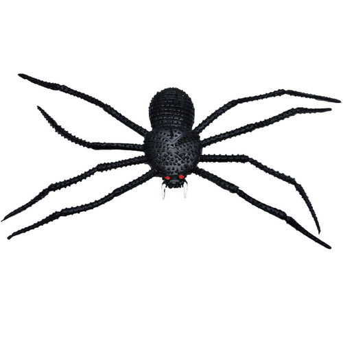 11 Inch Spider
