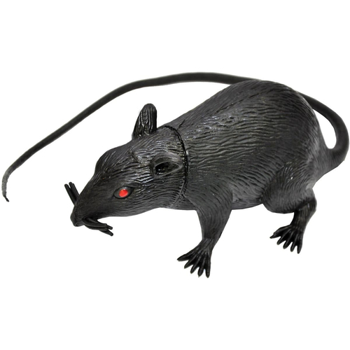 5 Inch Rat