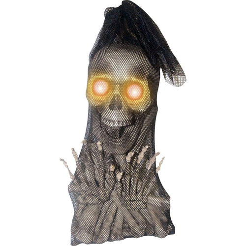 Bag Of Bones With Light Up Eyes