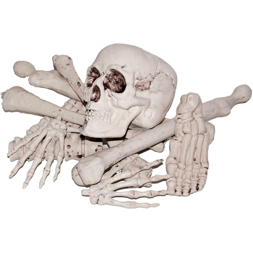 Bag Of Bones - 13761