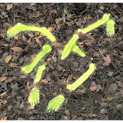 Bag Of Glow In The Dark Bones
