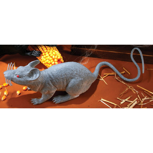 Big Grey Rat
